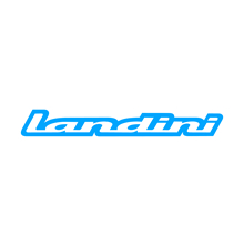 LANDINI